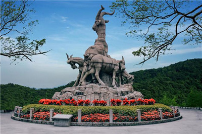 深圳坪山区全套：详细介绍与实用建议